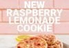 Subway Raspberry Lemonade Cookie – Review Subway new Raspberry Lemonade Cookie