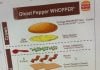 Burger King Releasing New Ghost Pepper Whopper For Halloween Burger King Releasing New Ghost Pepper Whopper For Halloween